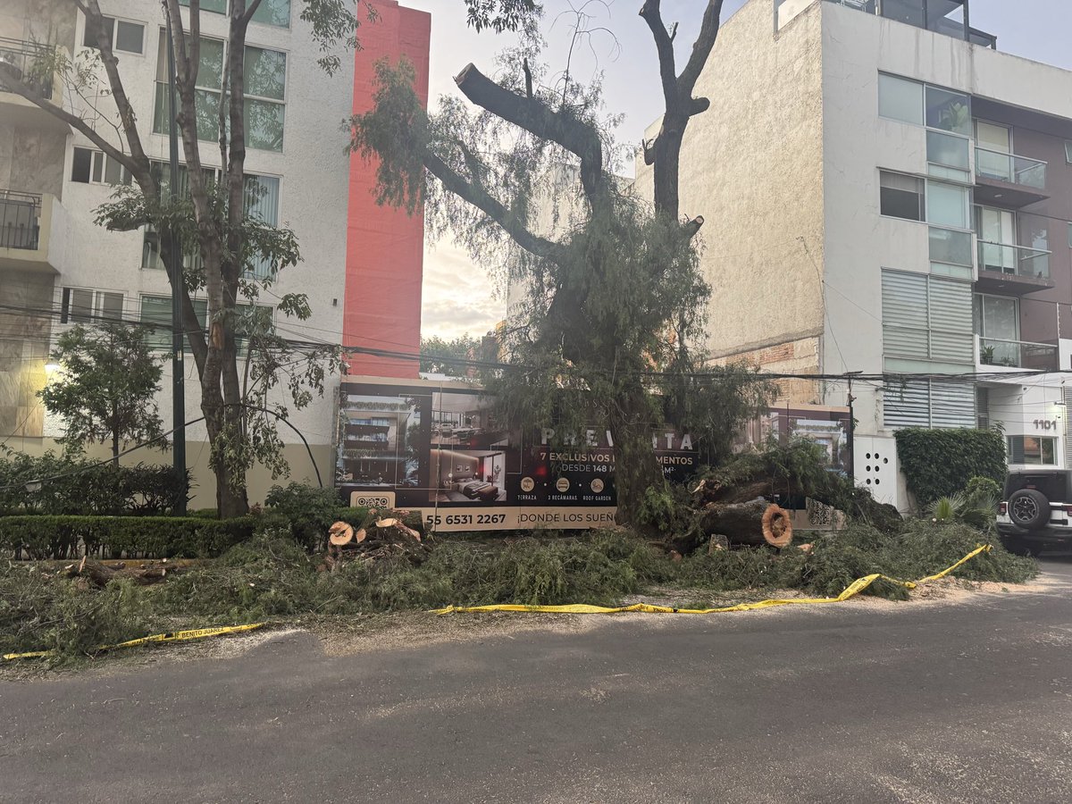 revuelta2020's tweet photo. @LuisMendozaBJ Y el árbol de Rebsamen? Quien autoriza cortar? Peculiar que construyen y lo tiran, desde el render ya no estaba el árbol, que sigue? Plantan uno ahí? O quien manda? Digo para preguntarle a quien si pueda hacer algo @AccionesBJ @BJAlcaldia @ClaraBrugadaM https://t.co/2HeYZCPKpS
