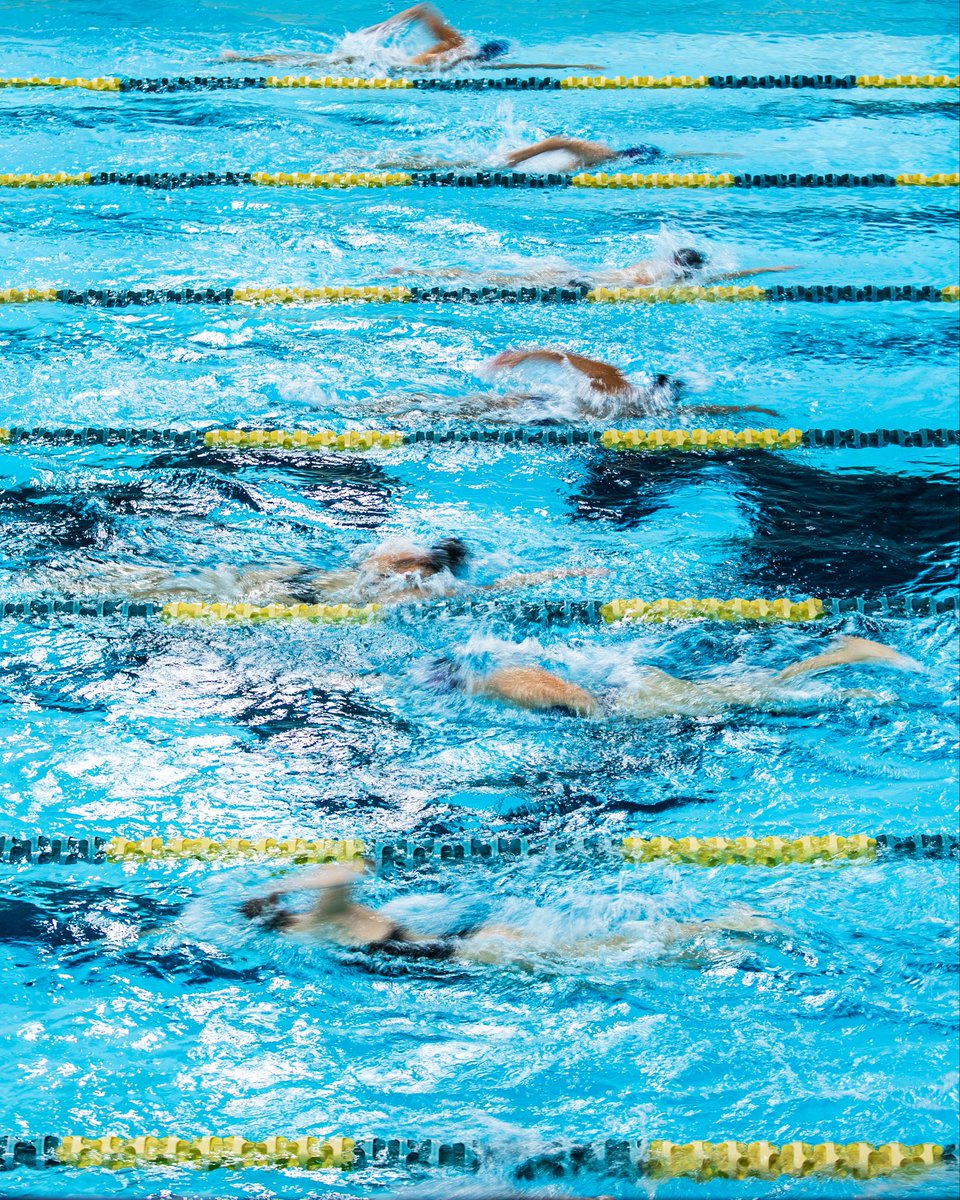 uncwswimdive's tweet photo. practice in motion โก๏ธ progress in the making
#SeahawkSwimDive https://t.co/qpexQg5z4J