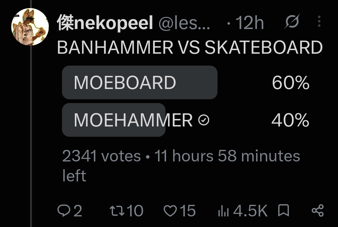actionheroboy56's tweet photo. GUYS PLEASE EVERYONE GO VOTE FOR BANHAMMER OH MY GOD. https://t.co/4XBomL8aku