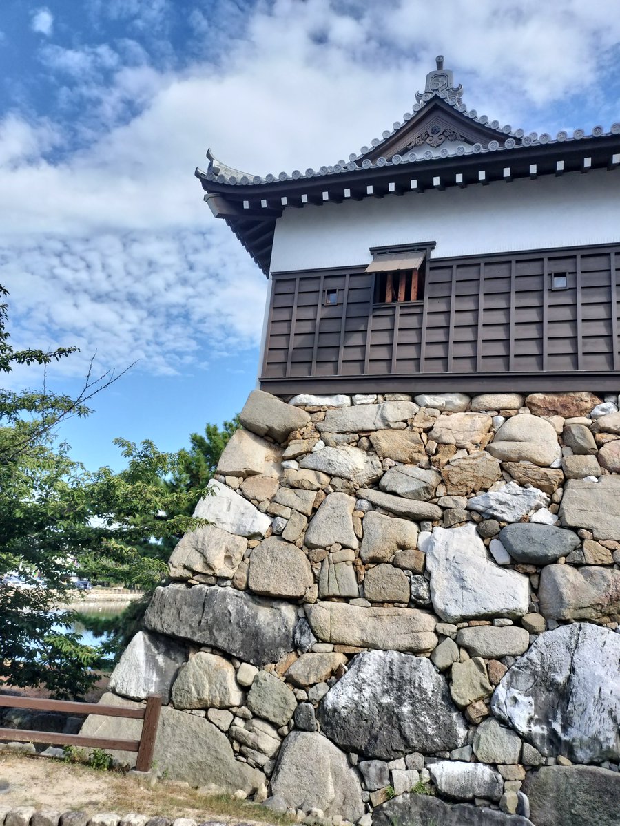 usixusi's tweet photo. 10月1日(木)☀
おはようございます。
もう10月だ❗
今月も程よく😃 https://t.co/wuZHqqCGeq