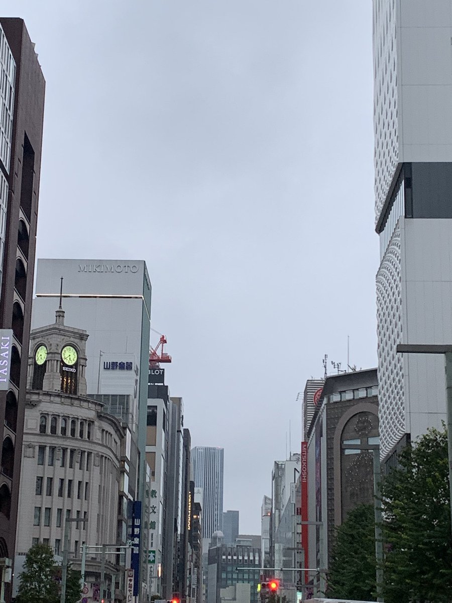 AkuTosa's tweet photo. 今日から晴れ予報
ひと駅散歩日和になりました
あと5か月頑張ります
事務所隣りの植え込みの柿
熟し過ぎてます https://t.co/5IUO0EZvlH