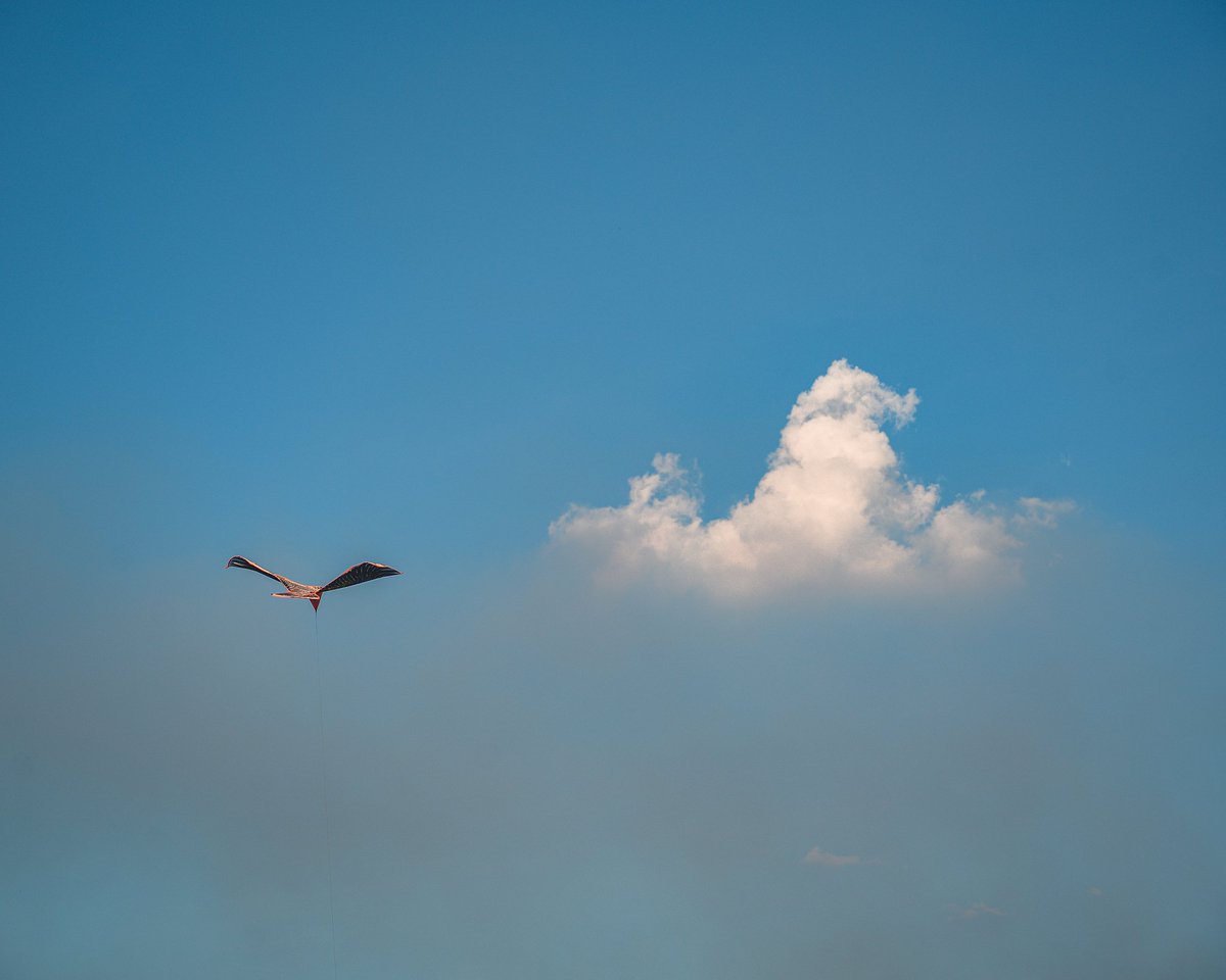 matth_izo708's tweet photo. The old cloud catches the flag, mane bristling in the breeze—so vivid! https://t.co/fl3uI4k7od