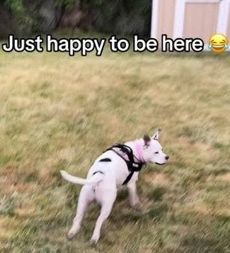 pessimisticoomf's tweet photo. https://t.co/j115nMnTPT