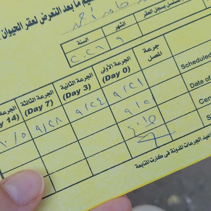 nour_274's tweet photo. 👩‍🎓💗 https://t.co/699my4qm8I