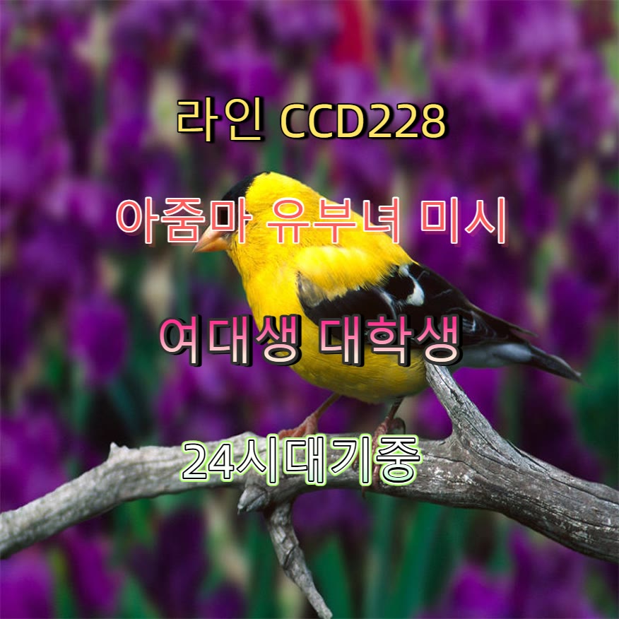 Fasial_1985's tweet photo. 🏰📳💽 #진해 #진해ㅈㄱ #조건 #진해만남 #맘눌뎀 #일탈 #건오 #ㄱㄷ https://t.co/XwUxTnxCxn