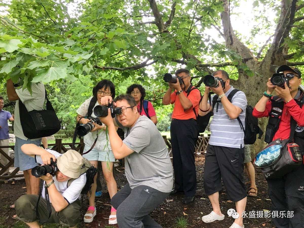 JanelMineck8's tweet photo. Nuestro club de fotografía organiza un taller de retratos creativos este sábado en el parque central! Aprende con expertos, trae tu cámara y únete a nosotros, las plazas son limitadas! https://t.co/9gFq3h7R0U