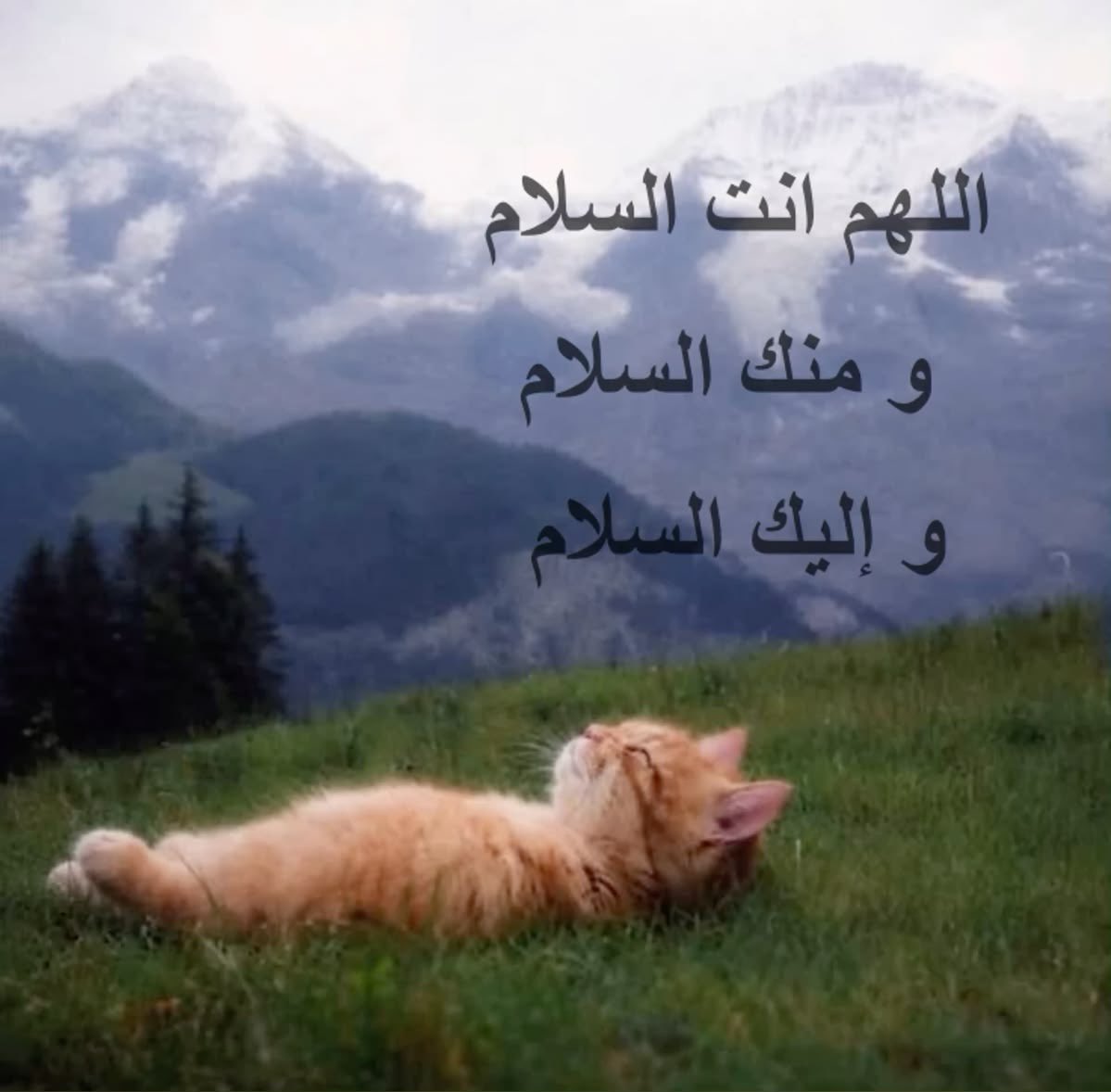 theonewholivesn's tweet photo. 1 اكتوبر https://t.co/hQxMxk85DD