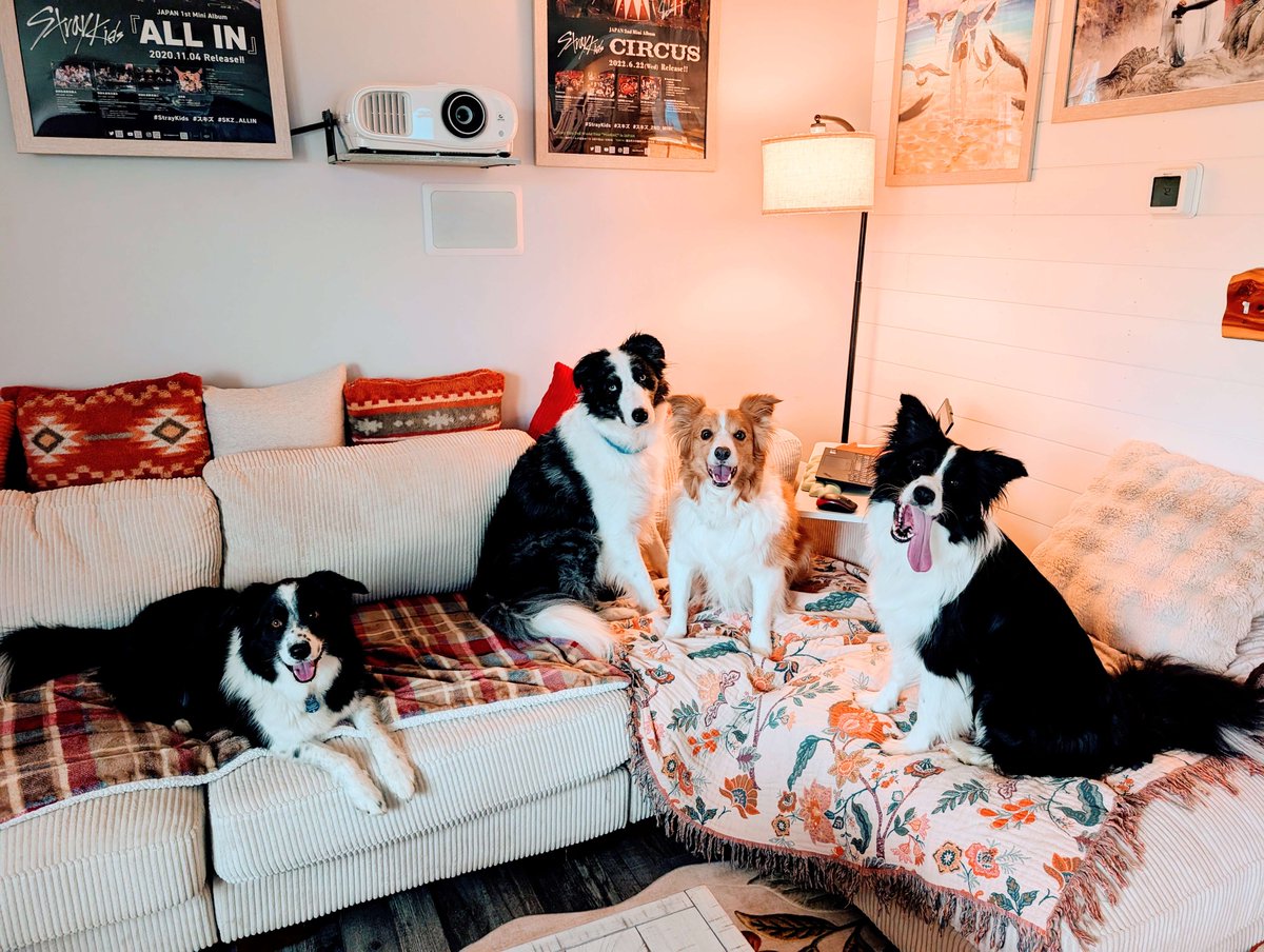 sunnycritters's tweet photo. four! https://t.co/MQOE64zfMx