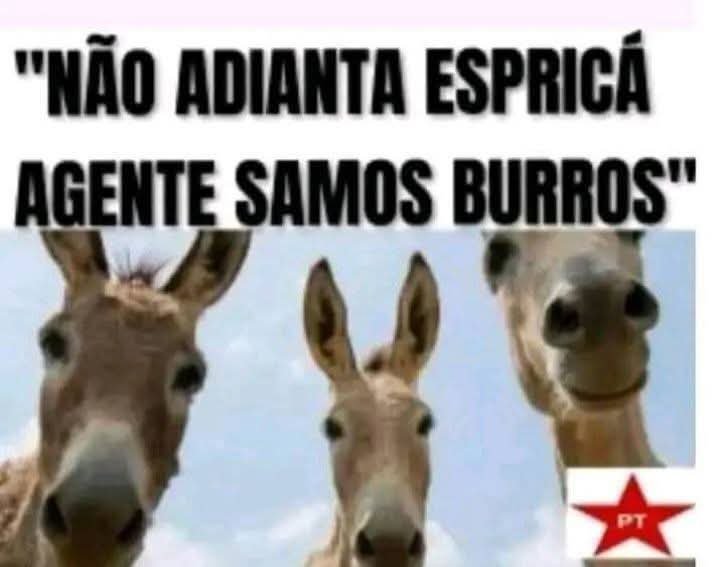 Jairo1Andrade's tweet photo. @Teo_machad https://t.co/mJKhjkKoL7