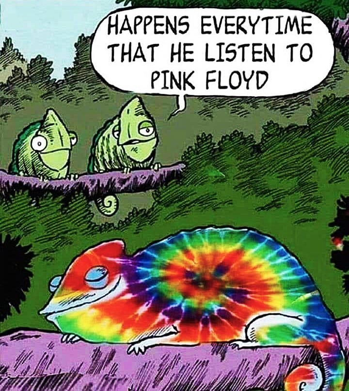crockpics's tweet photo. The Grateful Dead https://t.co/TTCCnZpitT