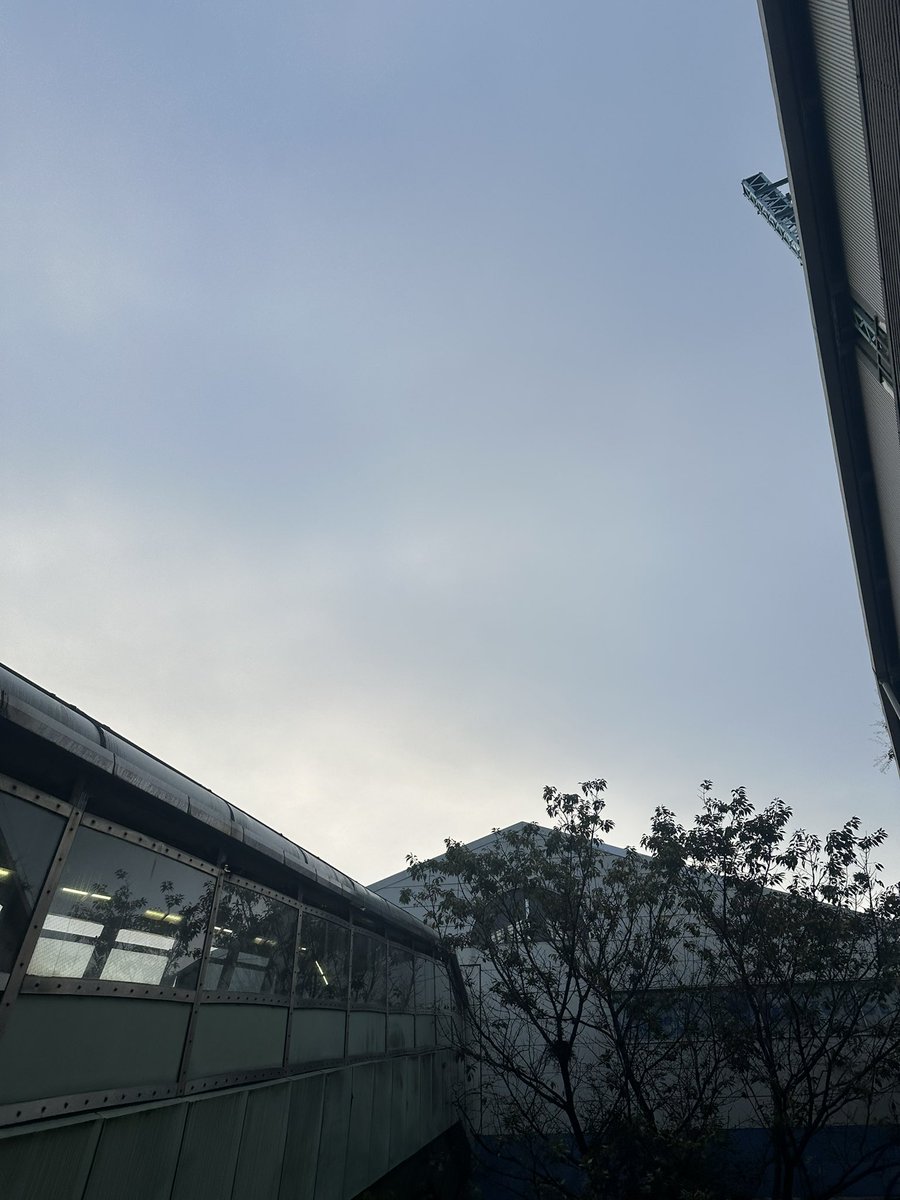 kyarasuun's tweet photo. おはようございます😃
久しぶりのお天気な気がします。
今のうちにできる事しなければ。。。！
今日も頑張りましょう https://t.co/XtENqzdohC