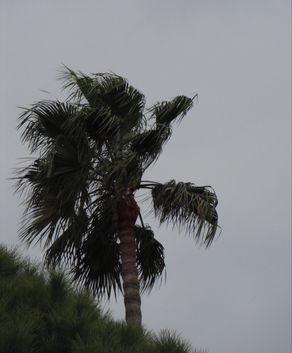 vampireprada's tweet photo. cloudy day in cannes https://t.co/QGSRnI8J07