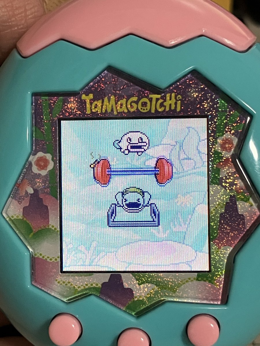 mitSchnapper tweet picture