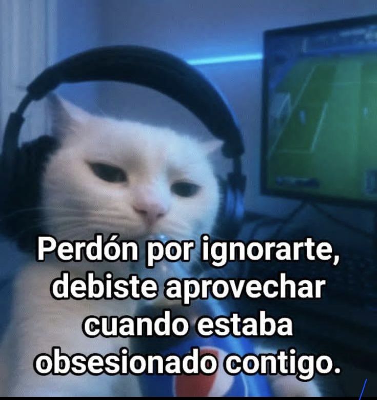 Tekivocas's tweet photo. https://t.co/j9ZGet1S2c