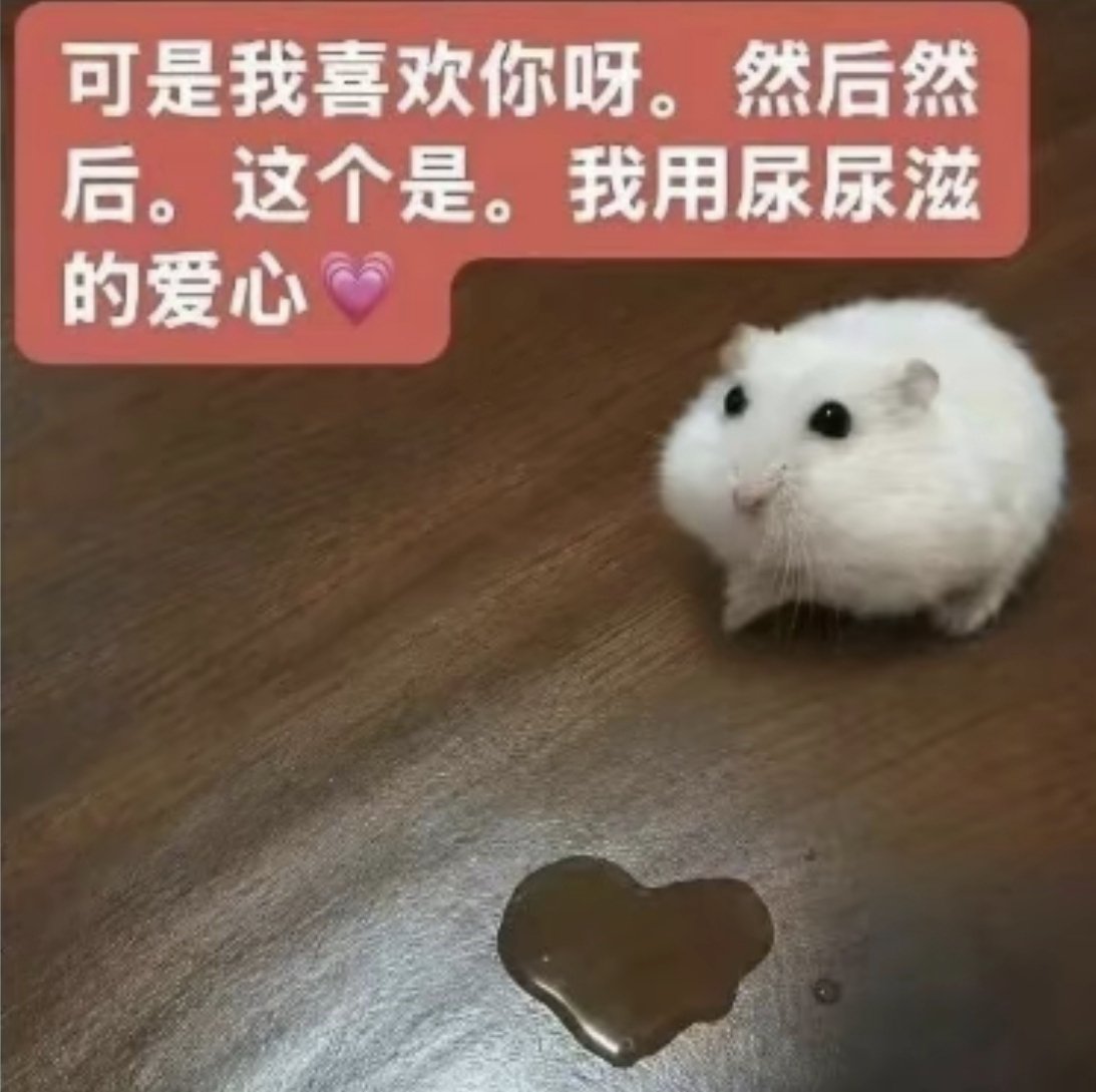 3egvz's tweet photo. 鸡你太美。体育生的梗很好玩吗 其实我也是个体育生 但是班里没有人敢玩这个梗 因为我的拳头会告诉他们为什么 https://t.co/DWdHaDVaBv