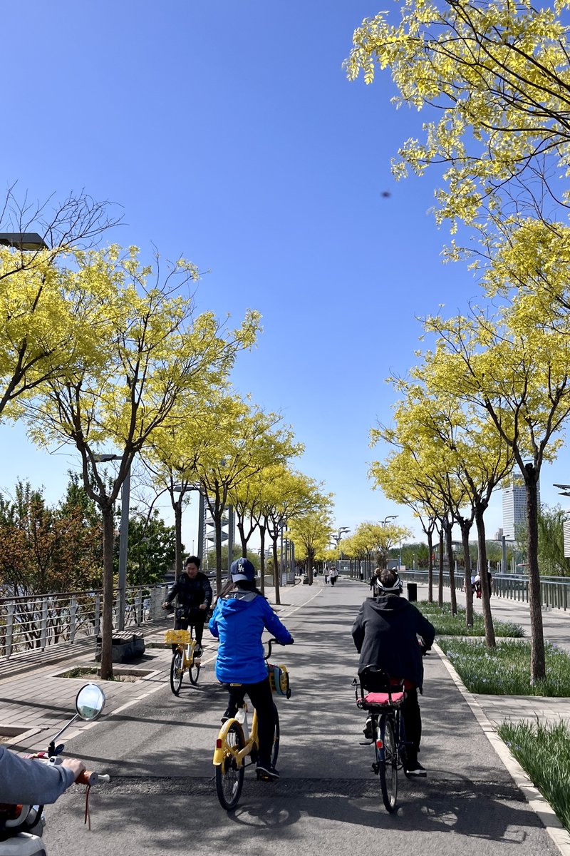 AmaraNorwalv's tweet photo. Hoy hace un sol perfecto para salir a caminar por el parque, un día de primavera genial! https://t.co/acmlNq50bQ