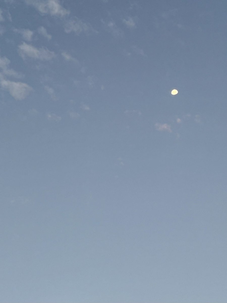 pentomo's tweet photo. おはよう。
十月になりました。
涼しいというより肌寒い朝。
秋ですね。
今日も一日元気に過ごせますように。 https://t.co/KaIMBiusqS