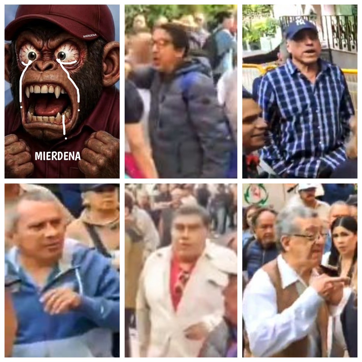 2026Mathias's tweet photo. @arturoavila_mx @lumendoz @Claudiashein @LuisaAlcalde @rosaicela_ @ivan_escalante Está dama solita y sin decir una sola palabra puso a rabiar a todos esos mandriles 🤣 

Eso es morena : Odio, frustración y violencia 

Cero votos @lumendoz TIENE MAS 🥚🥚 QUE TU 😀 https://t.co/6R57FJYPXI