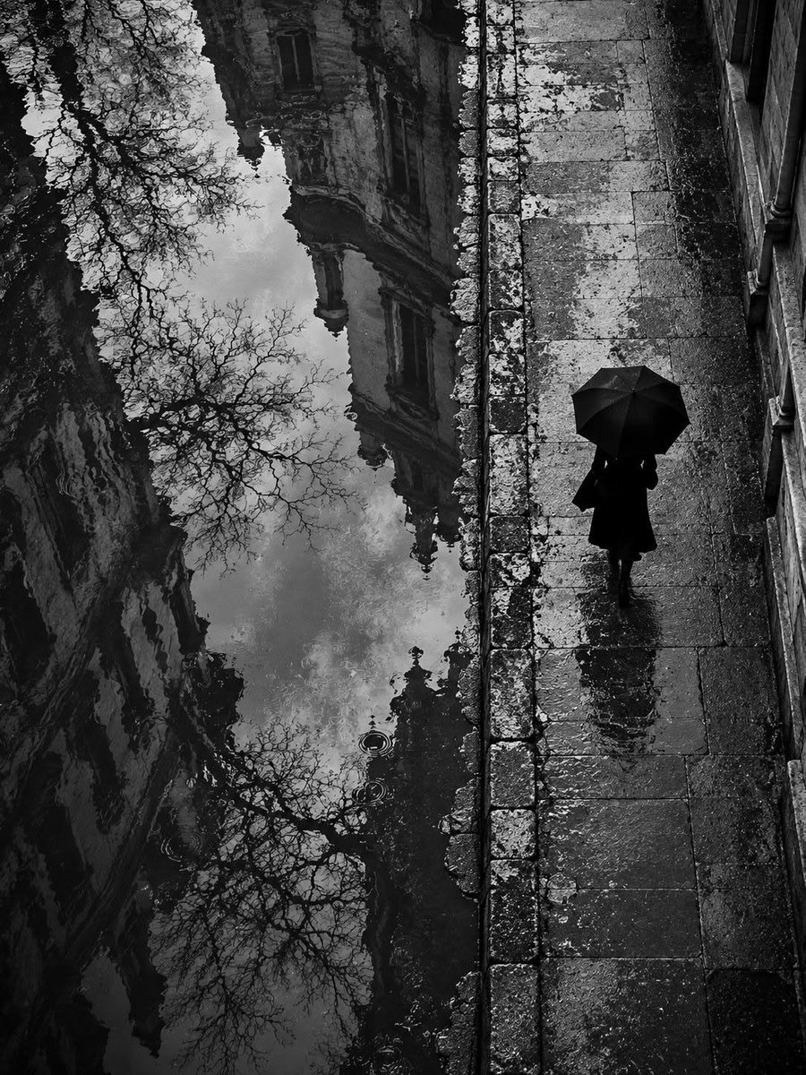MajaSenda's tweet photo. © Rolando Olly, Reflecion https://t.co/OtEziDaF0H