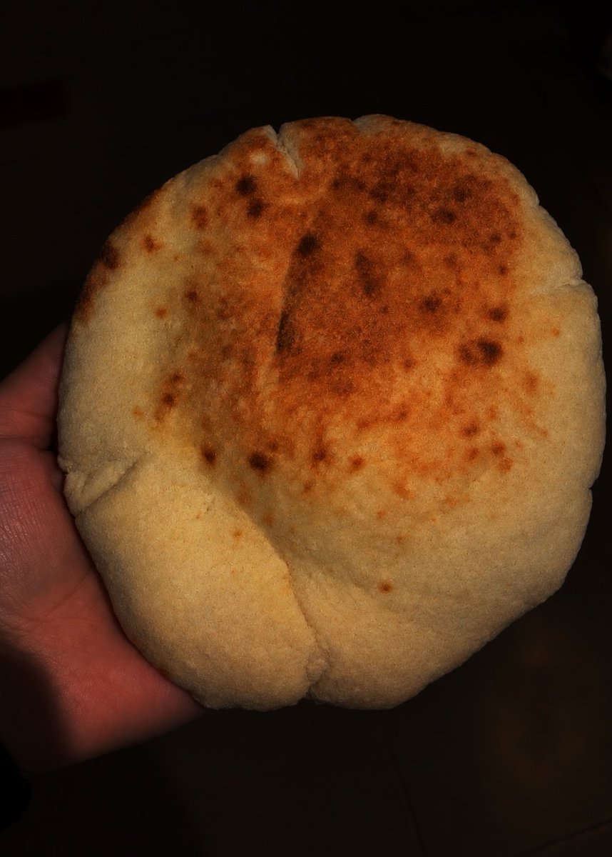 Ameer_wael07's tweet photo. This is the last loaf of bread for my family. I have nothing left to feed my younger siblings or my parents. 💔🚨
Please help us survive. Your support could make the difference between hunger and hope. 🙏🇵🇸
Donate, comment, and retweet to spread the word👌
https://t.co/XOQtAKhu9B https://t.co/bMSIA9NCas