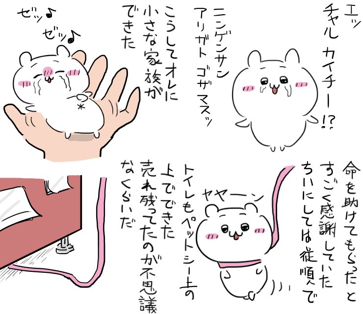 arisugawadotnet's tweet photo. #ちい虐
『金ちい』
ネタ被りあったらセッ https://t.co/upFUPPOfpl