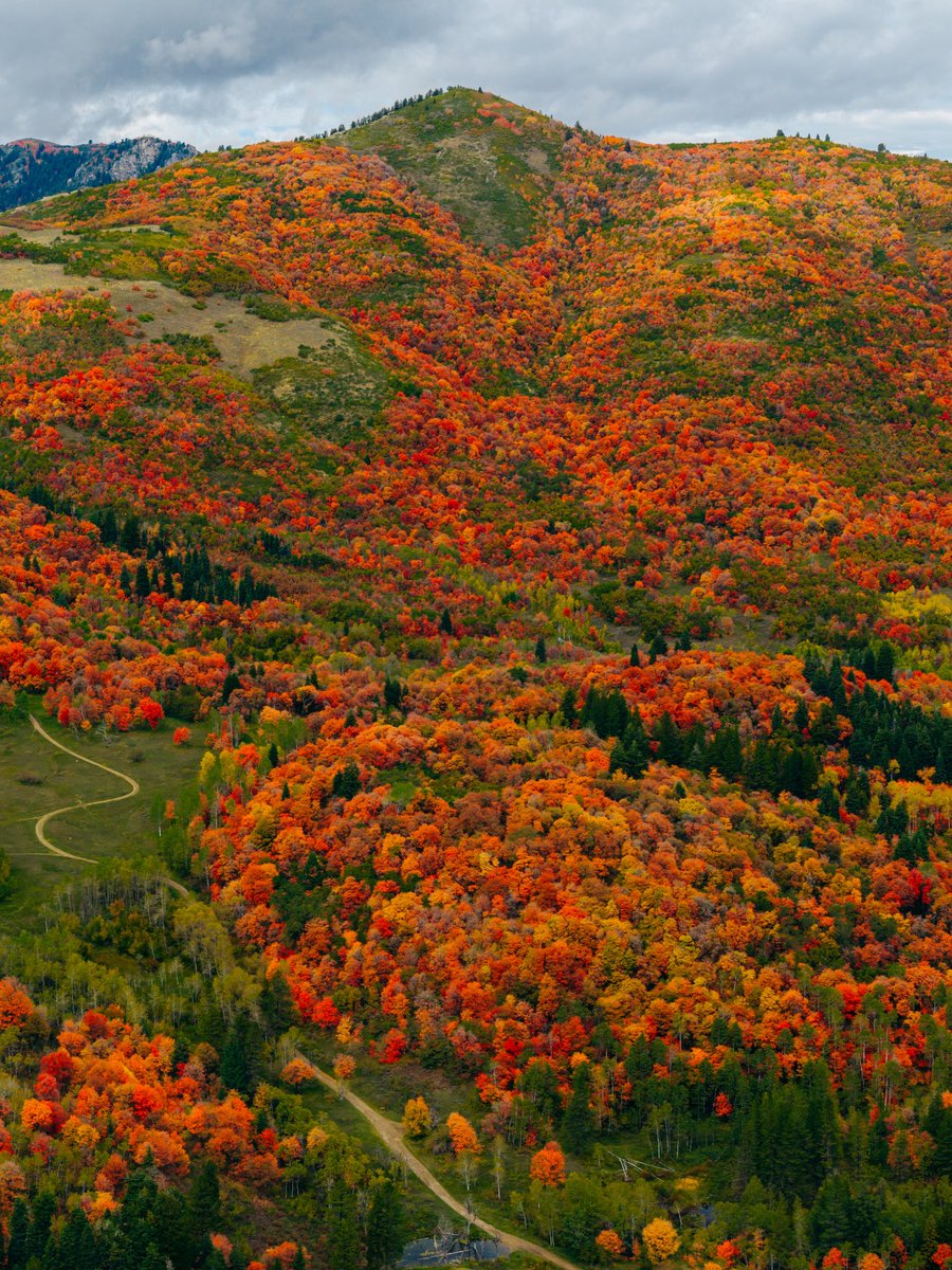 SnowbasinResort's tweet photo. SWIPE for Endless Fall Colors!! ➡️➡️

We promise you won’t want to miss out on this weekend’s Snowbasin visit🍁🍂💙😉 https://t.co/Cz9iq9HByZ