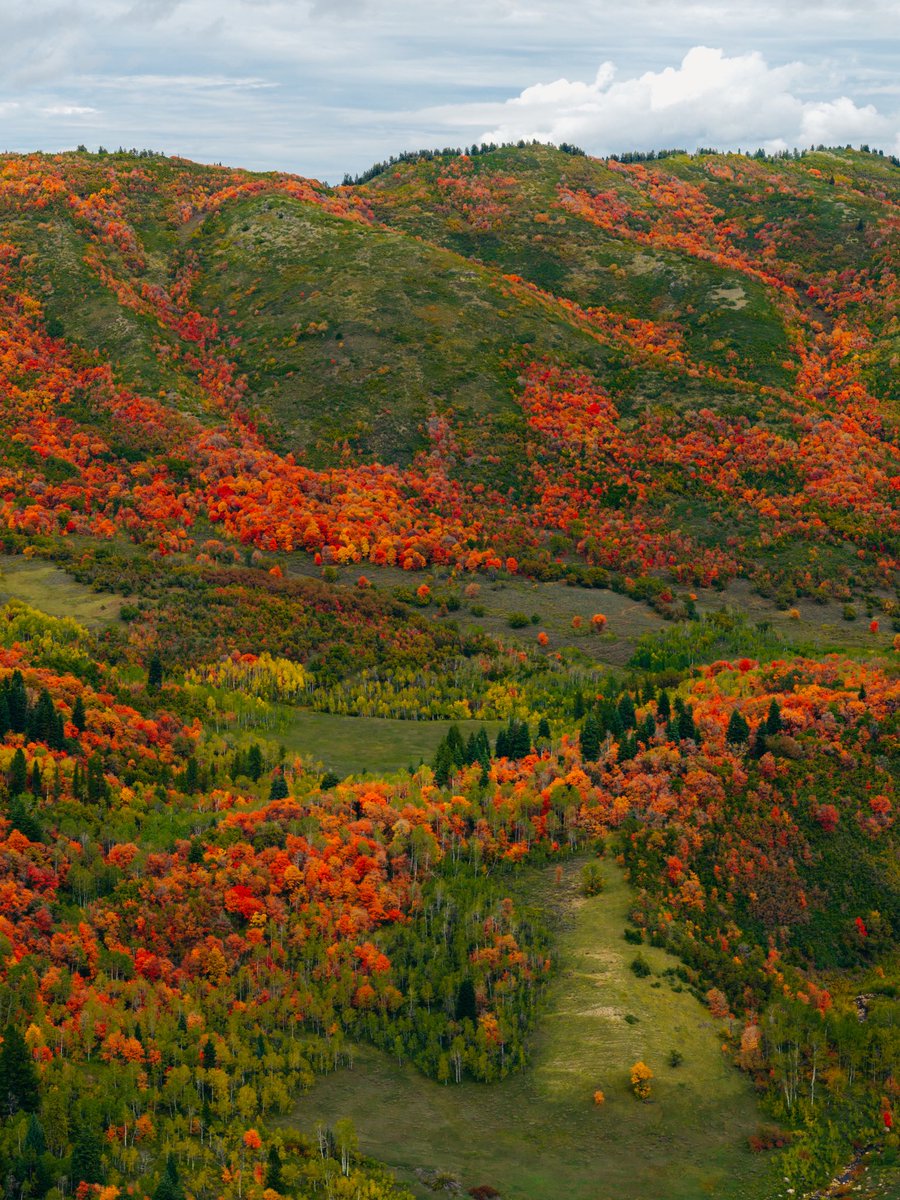 SnowbasinResort's tweet photo. SWIPE for Endless Fall Colors!! ➡️➡️

We promise you won’t want to miss out on this weekend’s Snowbasin visit🍁🍂💙😉 https://t.co/Cz9iq9HByZ