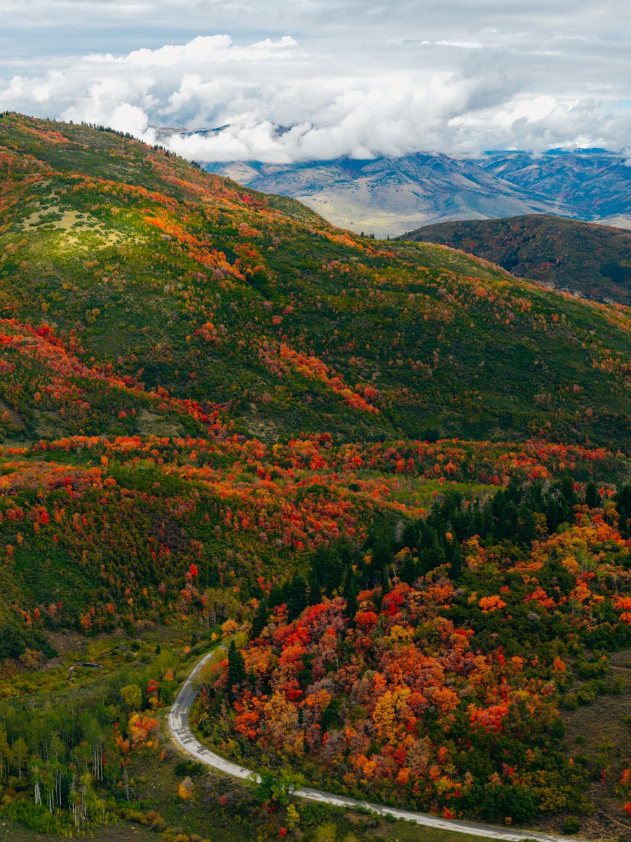SnowbasinResort's tweet photo. SWIPE for Endless Fall Colors!! ➡️➡️

We promise you won’t want to miss out on this weekend’s Snowbasin visit🍁🍂💙😉 https://t.co/Cz9iq9HByZ