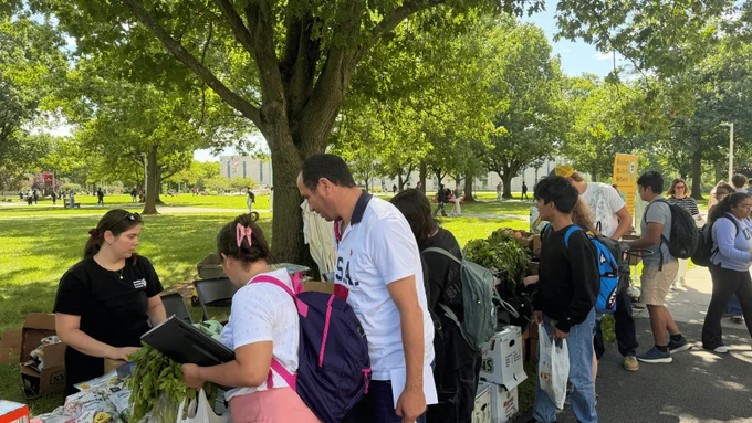 A group of people stand at a table under a tree in an outdoor setting, engaging with vendors at a market. The table displays a variety of fresh produce. There are trees and a grassy area in the background.