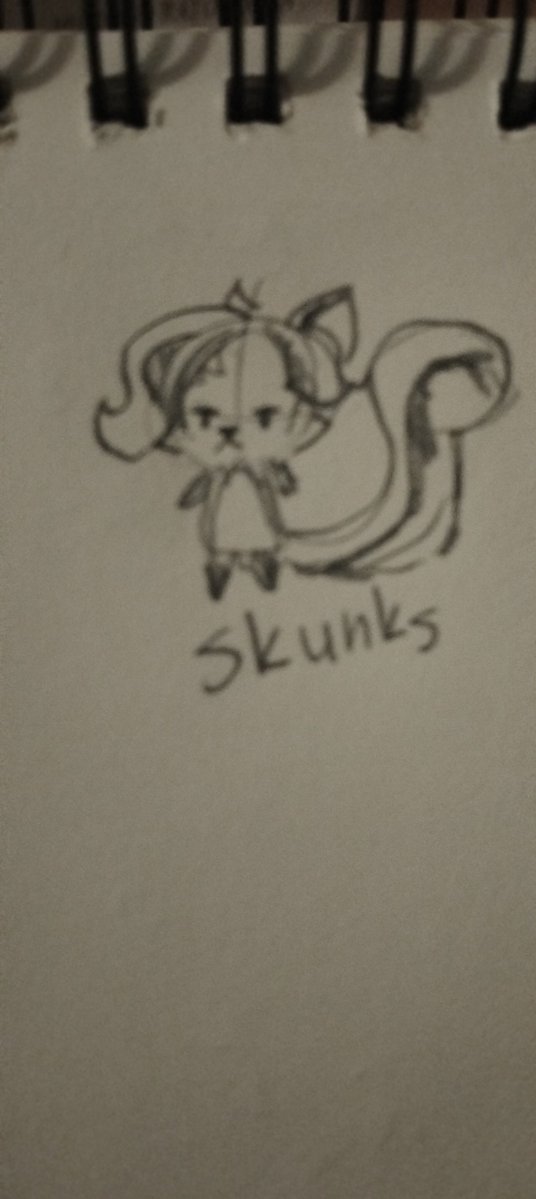 Xtonki's tweet photo. I think this is a sketch of the new OC "Skunks" - a boy who doesn't care about anyone and would rather go to the ground. https://t.co/GzKIkLHziH