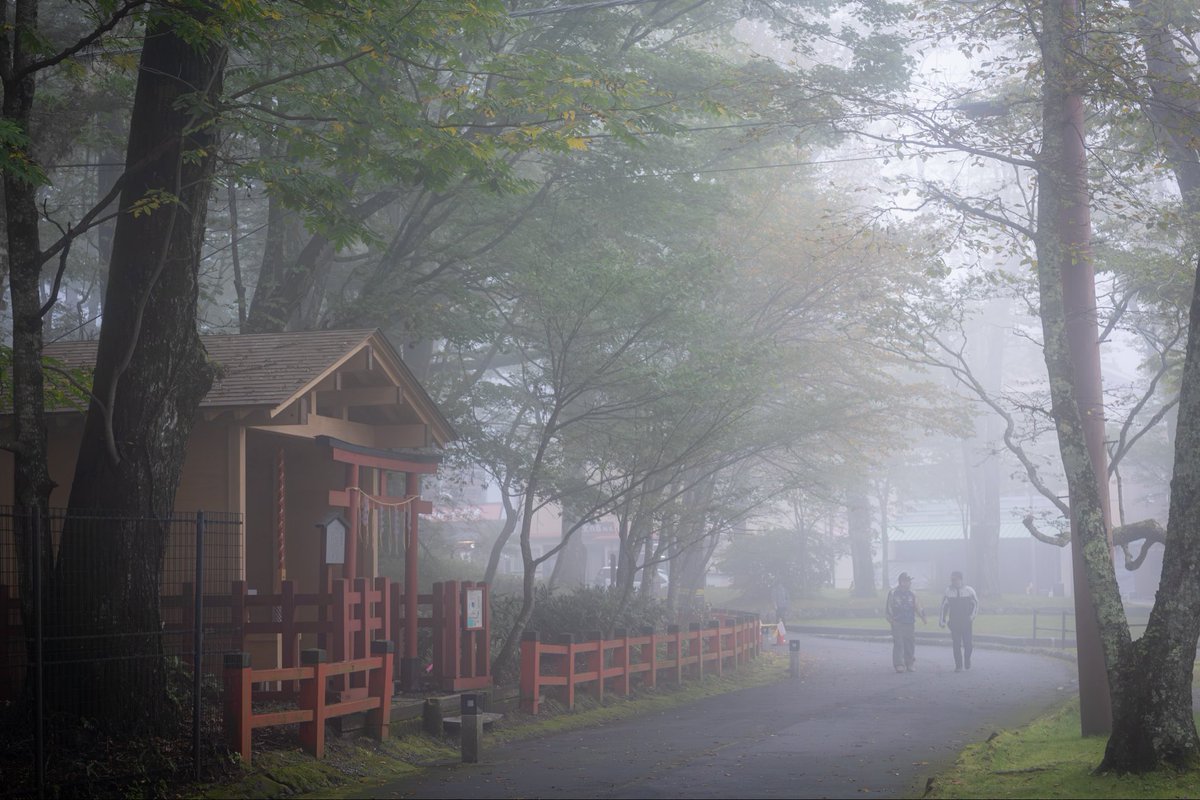 gkykam's tweet photo. eosr6markll
rf28-70mm f2.8 is https://t.co/zb4rhy7kbT