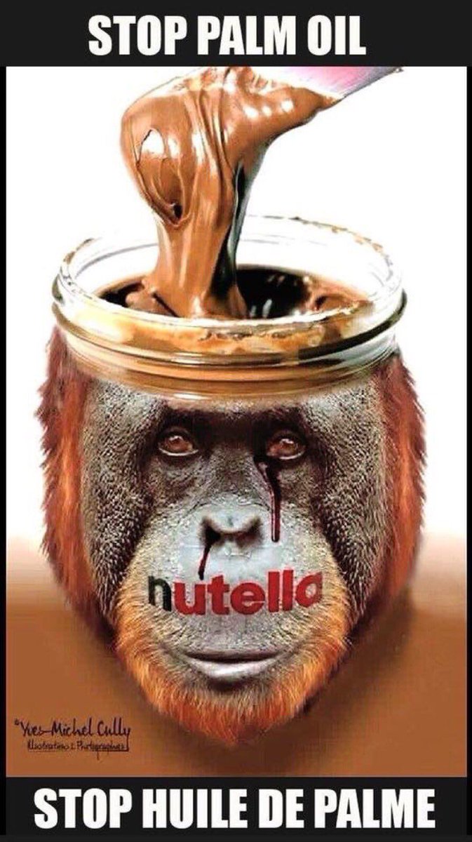 PalmOilDetect's tweet photo. DYK that #Nutella by #Ferrero contains forest-destroying #palmoil? Help #animals and #indigenous peoples by going #palmoilfree with your nut butters and cooking oil. Resist and #Boycottpalmoil #Boycott4Wildlife 🌴🔥🫢⛔️ learn more palmoildetect ➡️ https://t.co/vJtuz0pGtj https://t.co/BHoupycKxP
