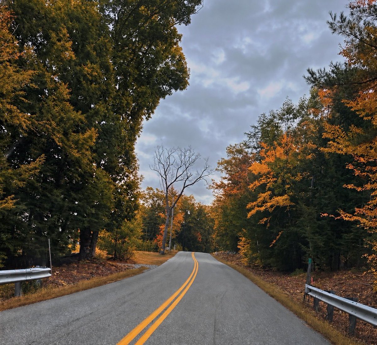 Cathy35839772's tweet photo. What a beautiful day to be knocking doors in NH! 🇺🇸🍂. I love my job-meeting neighbors, spreading kindness and patriotism, and doing my part to protect our freedoms.  Blessed to enjoy Gods beautiful artwork along the way. https://t.co/aXk4uZWzcx