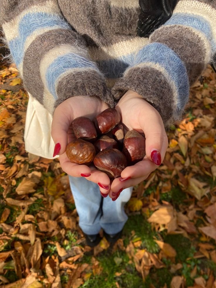 talya9646171863's tweet photo. October 1st ☕🍎🍂 https://t.co/GRGUbT1oiV