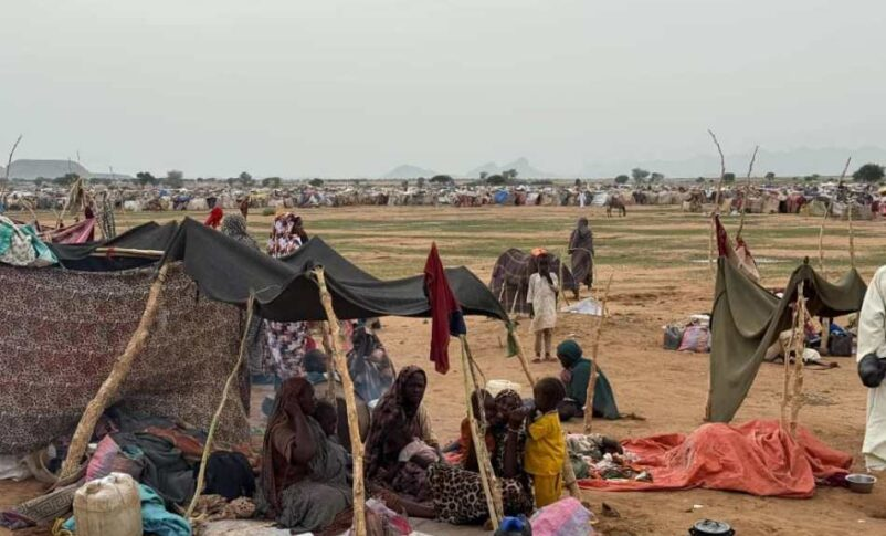 SudanTribune_EN's tweet photo. At least 30 children have died from malnutrition complications in the Suni area of eastern Jebel Marra, a Darfur displaced persons group said, warning that hunger and lack of healthcare now pose as grave a threat as active fighting.
https://t.co/pf8TIxzZCN

#Sudan #Darfur #JebelMarra #HungerCrisis #HumanitarianAid