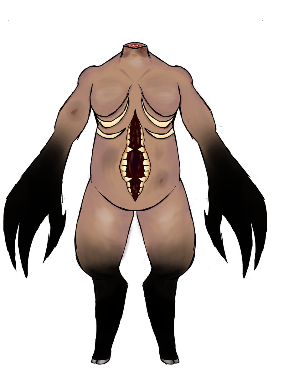 shape_sans tweet picture