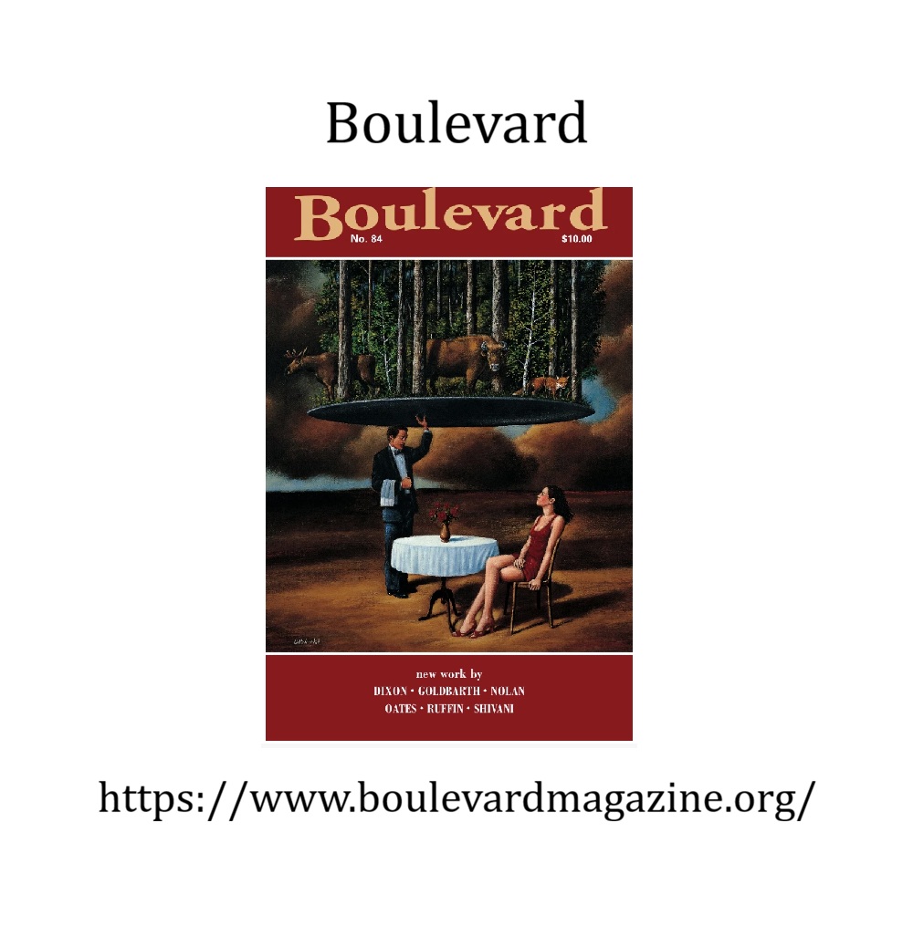 leahbrowninglit's tweet photo. When I started the Apple Valley Review, I was inspired by the quality and professionalism of many literary journals. Here are a few I admired and tried to emulate.

Happy reading!

#LitMagWeek

 @Missouri_Review @southern_review @pshares @BoulevardLitMag @AppleValleyRev @CLMPorg https://t.co/ajbLfjD537
