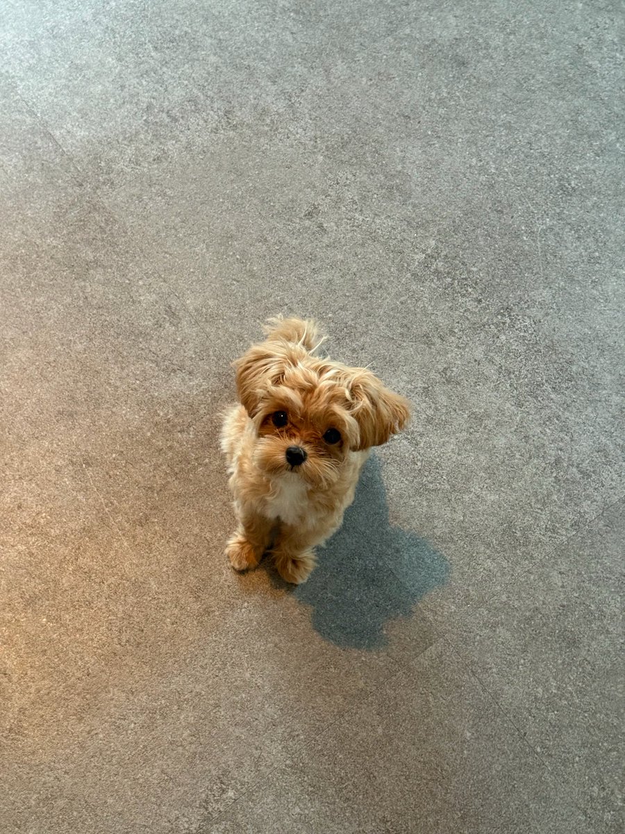 deobimom's tweet photo. #ERIC #에릭 sent these photos https://t.co/kr8v9BOAsm