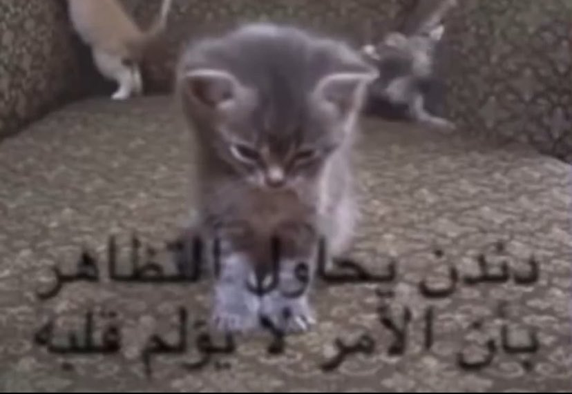thikphaseme's tweet photo. اكتوبر وسنقل ؟ https://t.co/RH85SqC2ki
