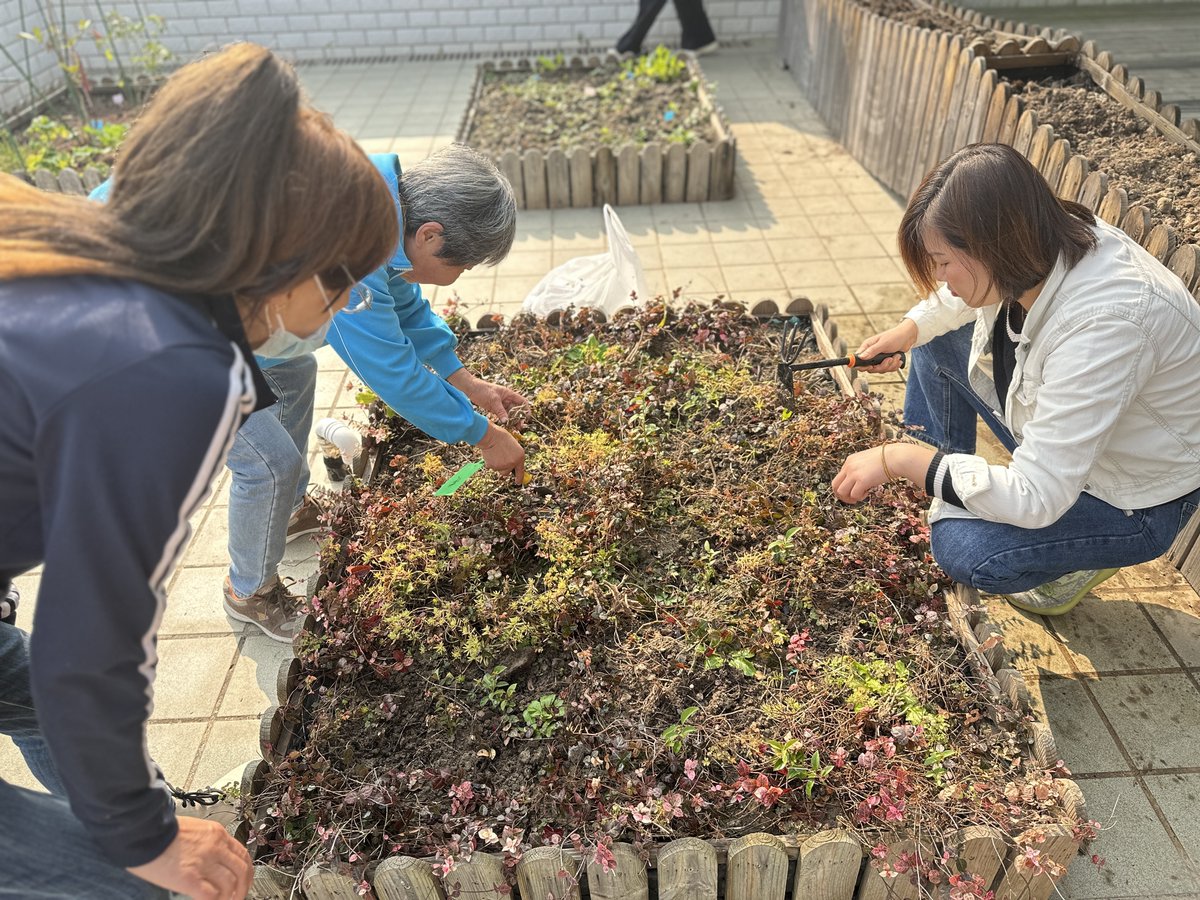 EleanorOsmlvif's tweet photo. Ven este sábado al Parque Central! Taller comunitario de jardinería para todas las edades, compartiremos plantas nativas y consejos de cuidado. Entrada gratuita. https://t.co/12Ovop1Nzx