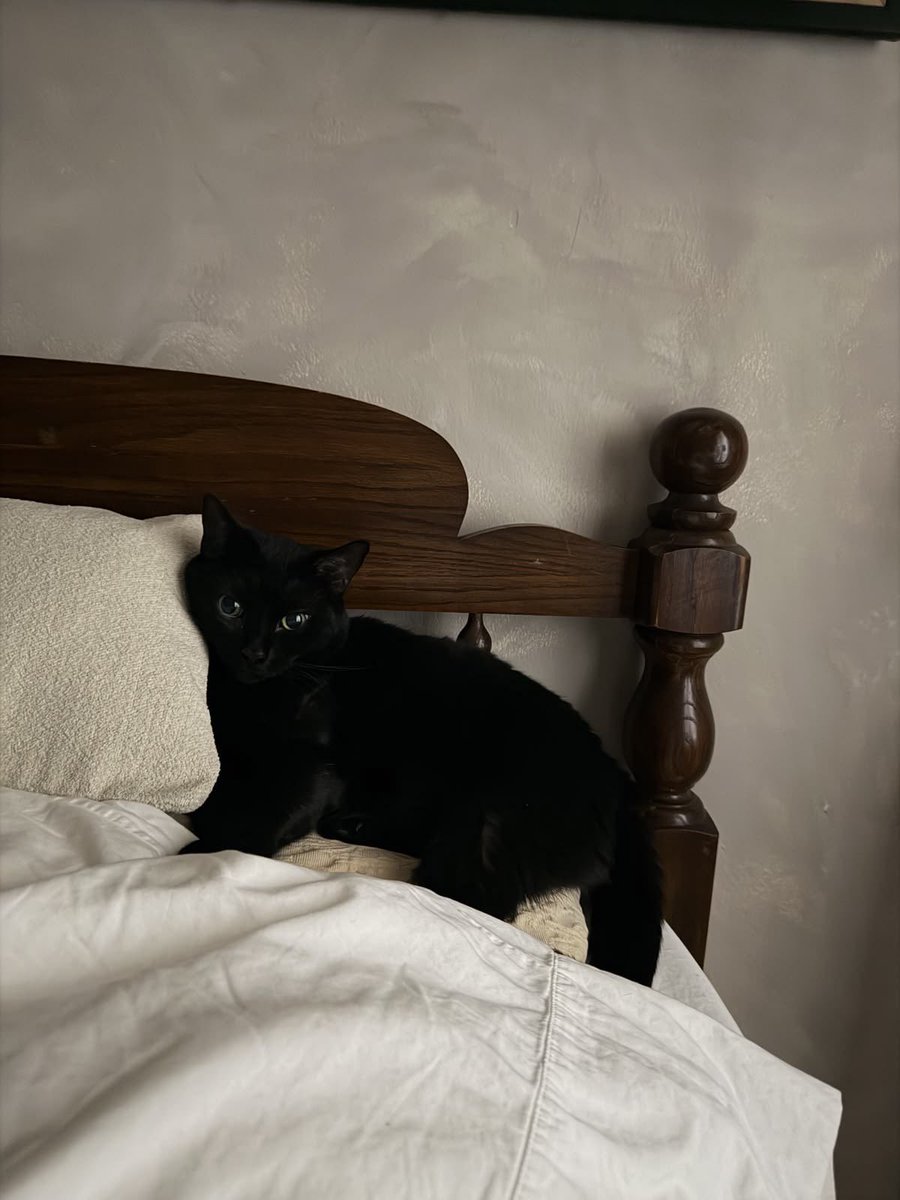 deessirest's tweet photo. i missed being at home. ⭐️ https://t.co/ZFPswfB1FR