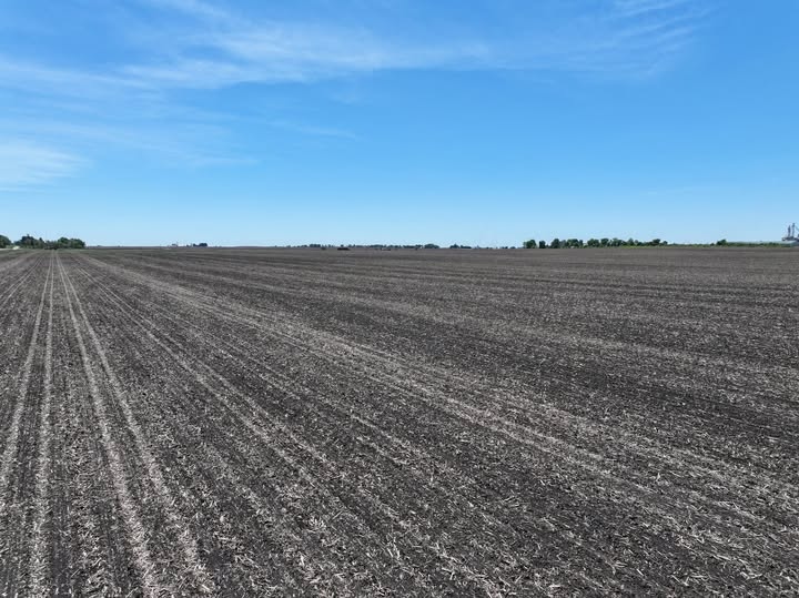 MGWLand's tweet photo. SALE PENDING
The Schoppe Farm, DeKalb County, Illinois
View listing: https://t.co/kMpT0W8pHl https://t.co/9LXq9D4Q2e