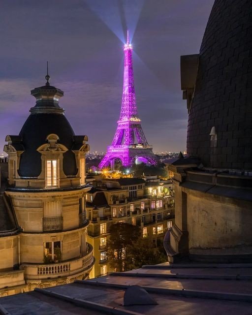 ParisAMDParis's tweet photo. La Tour Eiffel rose.
Paris.
#cancerdusein https://t.co/wB7Tq4Ymnj