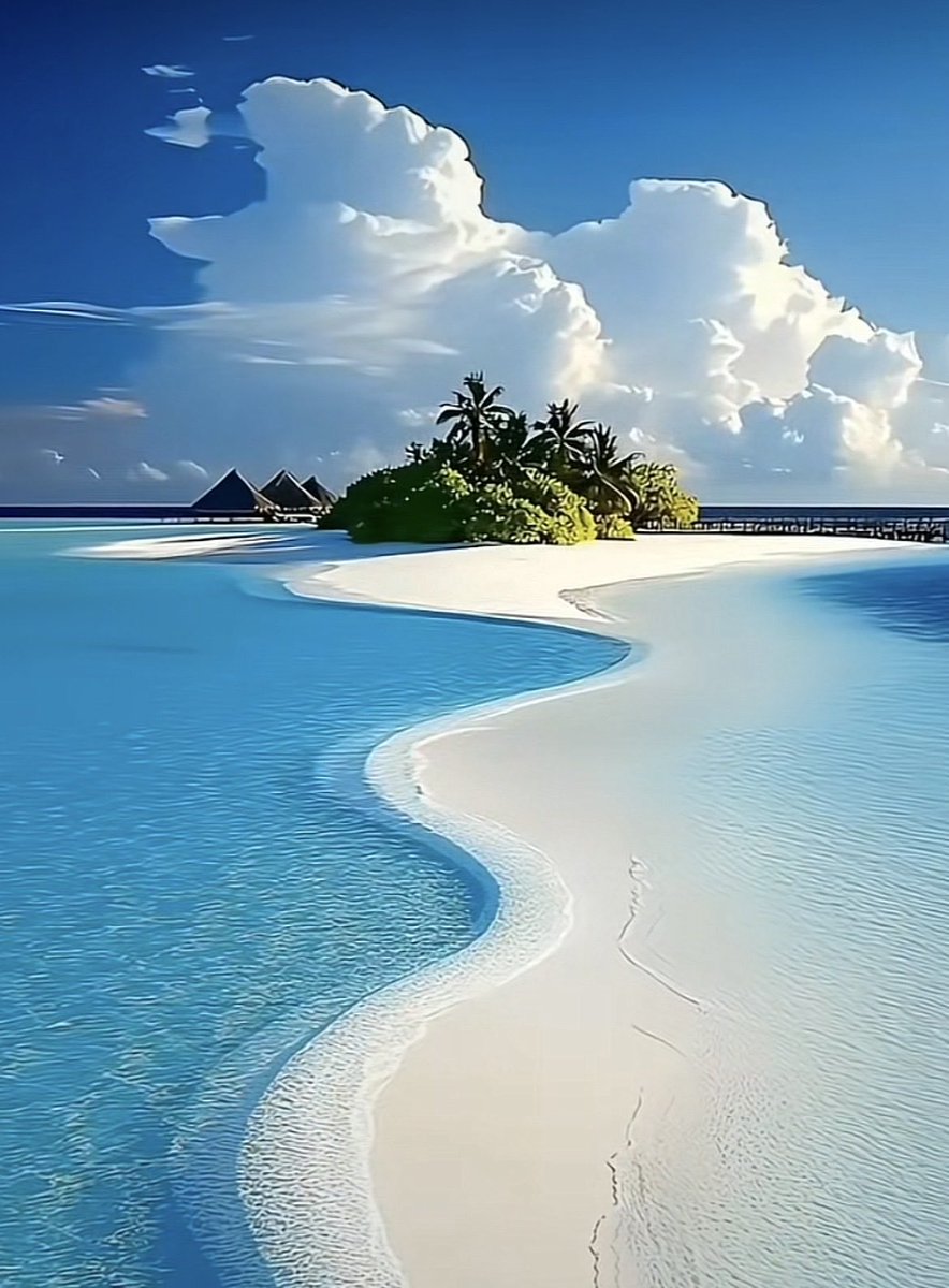 SalehRayan2178's tweet photo. #ابيض https://t.co/k9JVaIA9GO