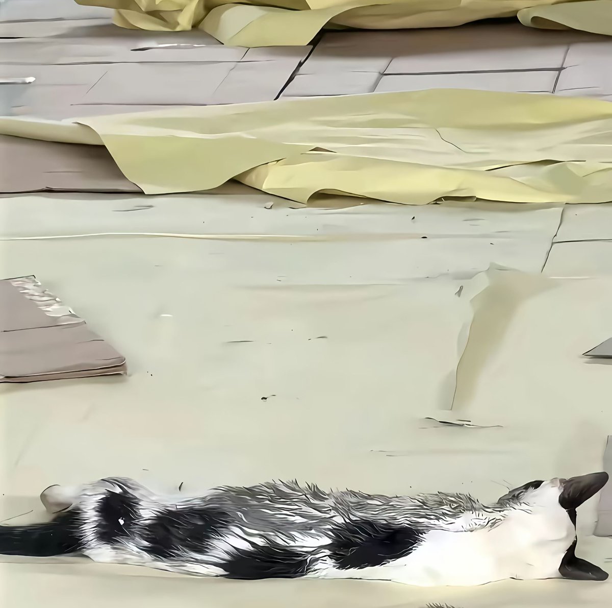 Jack09k7's tweet photo. When you see a bunch of cats passed out, you have two choices:

A. Run.
B. Walk over and roast them.

This cow cat chose B.

“Wait… y’all had a ball-removal party and didn’t invite me?”

He mocked them, chewed gum, acted like a king…

Then the volunteer noticed him.

One minute:
King of disrespect.

Next minute:
King has fallen.

Now he’s lying with the rest of the boys.