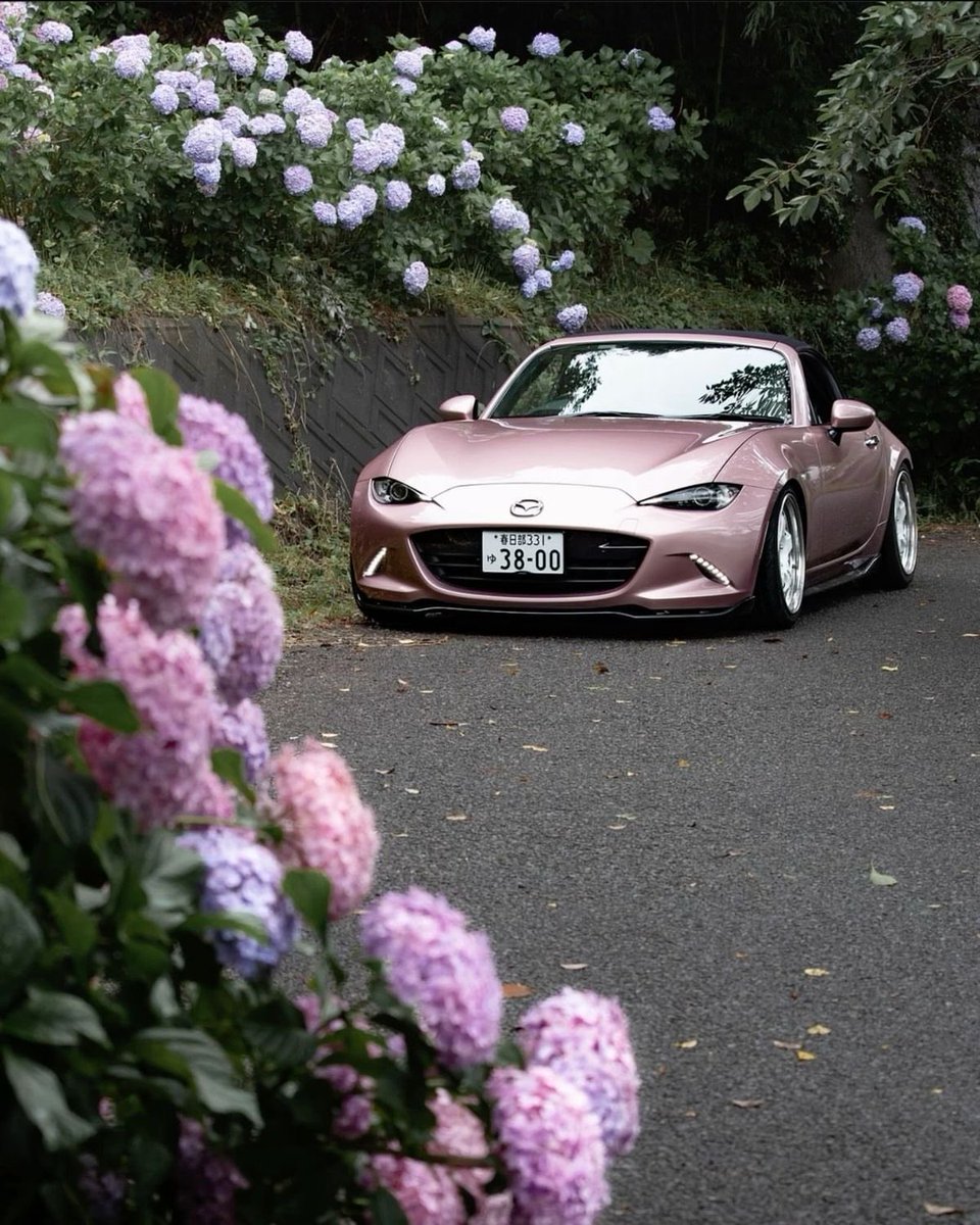 isak1ns's tweet photo. #edtwtt #3dtwt
intro!

19 ! 
female
SW: 167
GW: 140
UGW: 110

Not new to this, just relapsed !

Anime * cars ‘ + * Painting !
(not my pic, js love pink cars!) https://t.co/C1Y3LWO3l2
