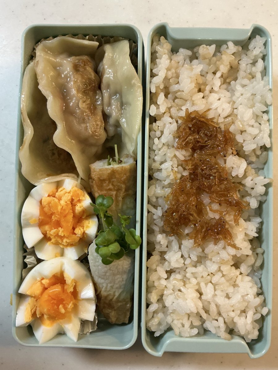 Englishcoachnao's tweet photo. 今日はお弁当一人分。
手作り餃子を入れました。
手間がかかる割には、評判が良くない私の餃子🥟…
一生懸命作ったので、お弁当にもいれてやるー！ https://t.co/KnPdoUIqkx