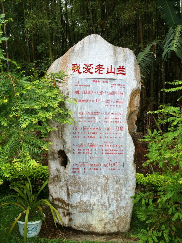zovkrn422's tweet photo. At the old mountain foot, the sedan chair stops at the stone steps. A granny waits gently for the coming trip.， https://t.co/7M0i3AJwYJ