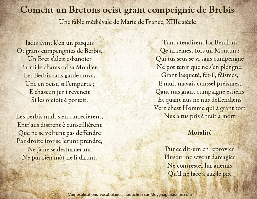 fred_effe's tweet photo. De Phèdre à Marie de France, et jusqu'à Martin Niemöller, la fable profonde du boucher et du troupeau de brebis. Traduction sur le lien.
https://t.co/U8nZzpkA7I https://t.co/JApnjuuvRL
