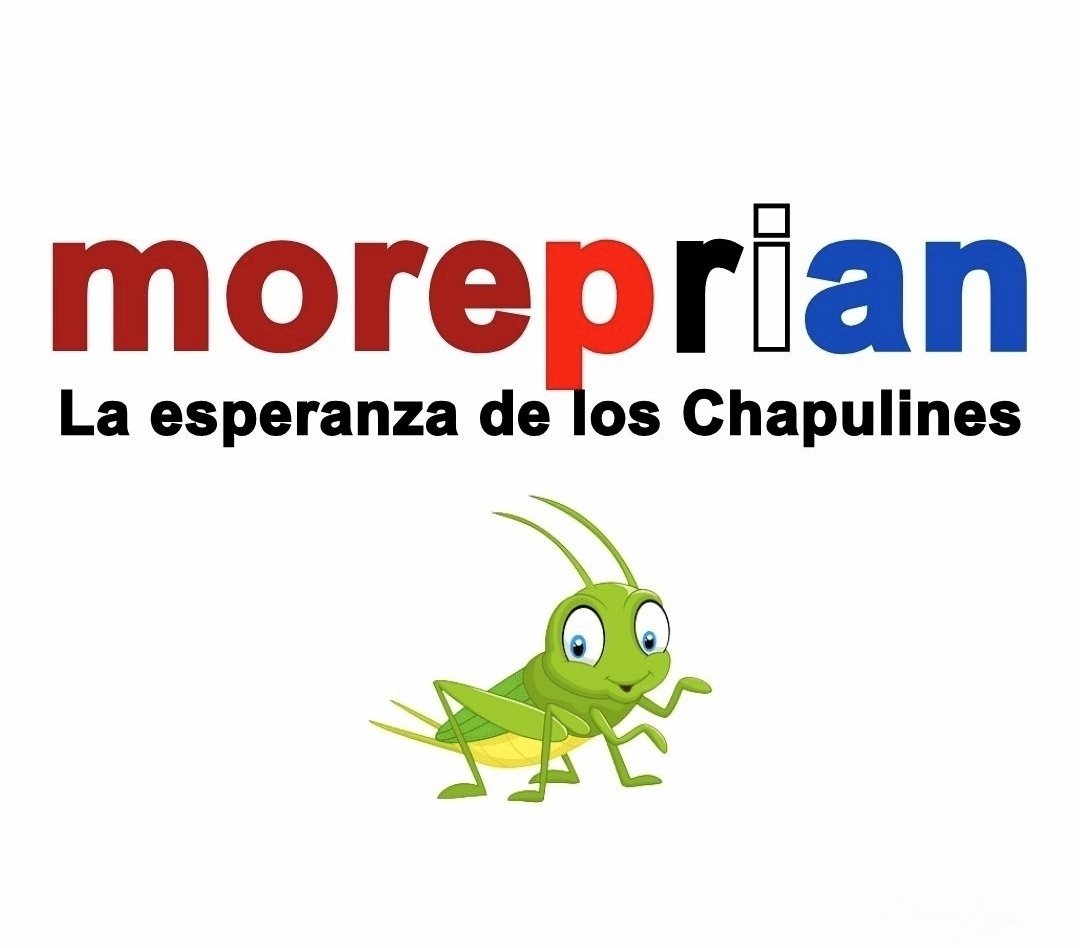 SonniTx's tweet photo. @A_MontielR @PartidoMorenaMx 💪🏻 Perdieron toda credibilidad, gracias a las traidoras y corruptas de @CitlaHM y @A_MontielR

¡Morena el futuro del PRIANRD! https://t.co/t7cUuTDgmL